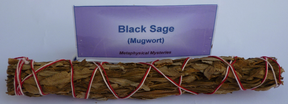 Black Sage (Mugwort) Black Sage (Mugwort)
